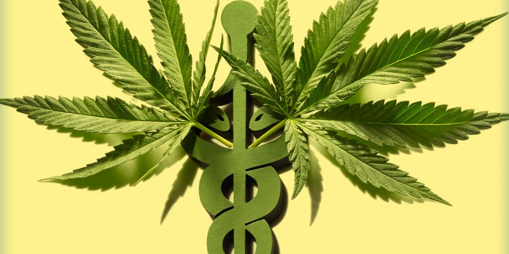 Florida's Marijuana Vertical Integration Model ("Cartel Model") before the Florida Supreme Court