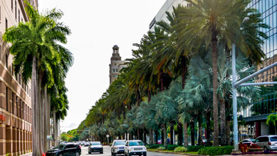 Coral Gables,FL Skyline